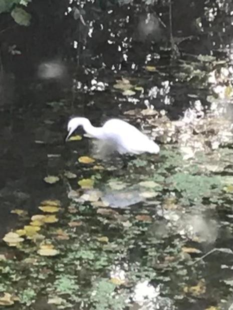Reveil Aux Chants Des Oiseaux Asse-le-Riboul Exteriör bild