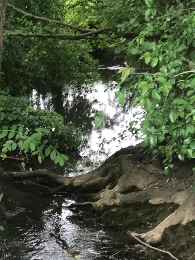 Reveil Aux Chants Des Oiseaux Asse-le-Riboul Exteriör bild