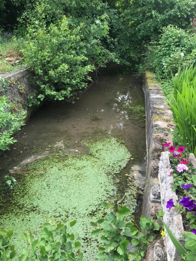 Reveil Aux Chants Des Oiseaux Asse-le-Riboul Exteriör bild